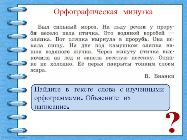 Найдите в тексте слова с изученными орфограммами. Объясните их написание. Орфографическая минутка