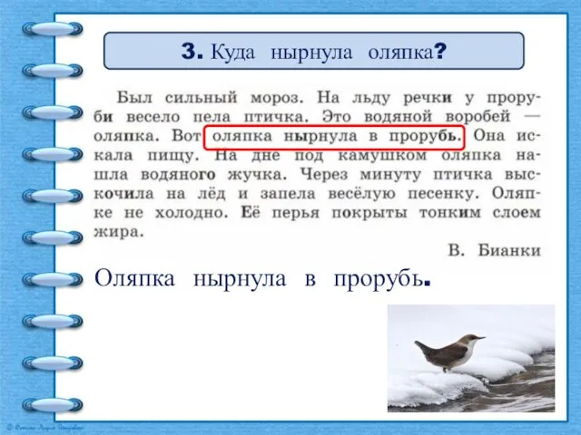 3. Куда нырнула оляпка? Оляпка нырнула в прорубь.