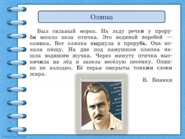 Вот так оляпка! Водяной воробей Водяной воробей - оляпка Оляпка