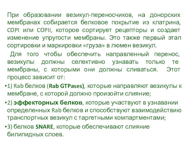 При образовании везикул-переносчиков, на донорских мембранах собирается белковое покрытие из клатрина, COPI