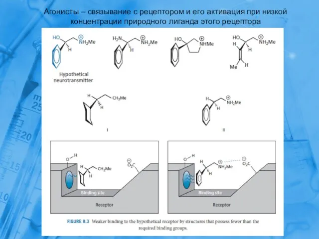 Агонисты – связывание с рецептором и его активация при низкой концентрации природного лиганда этого рецептора