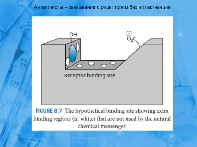 Антагонисты – связывание с рецептором без его активации