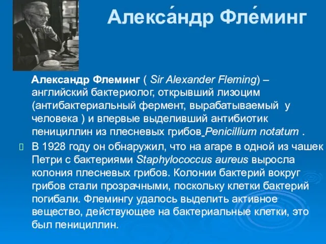Алекса́ндр Фле́минг Александр Флеминг ( Sir Alexander Fleming) –английский бактериолог, открывший лизоцим