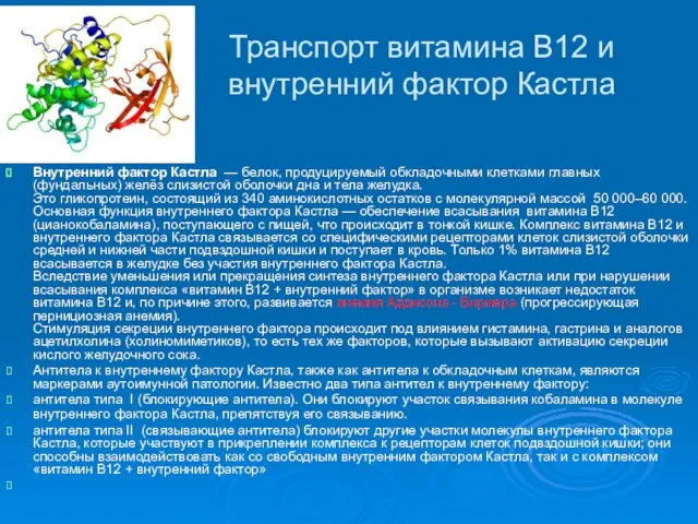 Транспорт витамина В12 и внутренний фактор Кастла Внутренний фактор Кастла — белок,