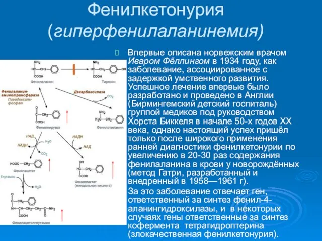 Фенилкетонурия (гиперфенилаланинемия) Впервые описана норвежским врачом Иваром Фёллингом в 1934 году, как