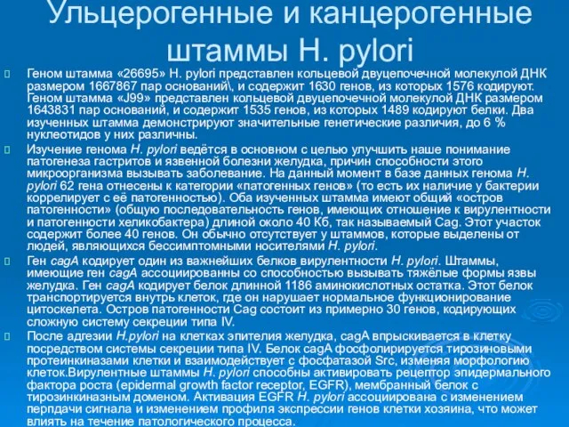 Ульцерогенныe и канцерогенные штаммы H. pylori Геном штамма «26695» H. pylori представлен