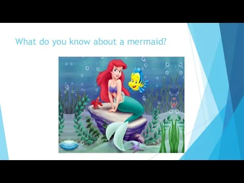 What do you know about a mermaid?