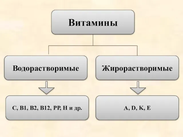 Витамины Водорастворимые Жирорастворимые С, В1, В2, В12, РР, Н и др. A, D, K, E