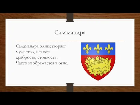 Саламандра Саламандра олицетворяет мужество, а также храбрость, стойкость. Часто изображается в огне.