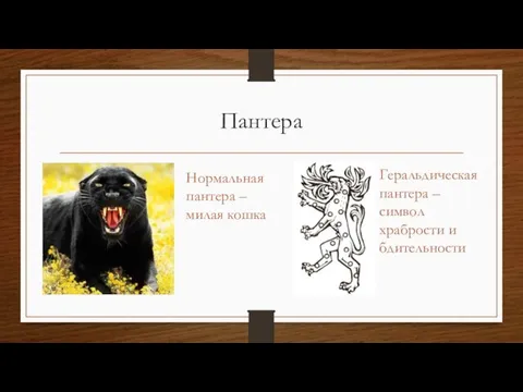 Пантера Нормальная пантера – милая кошка Геральдическая пантера – символ храбрости и бдительности