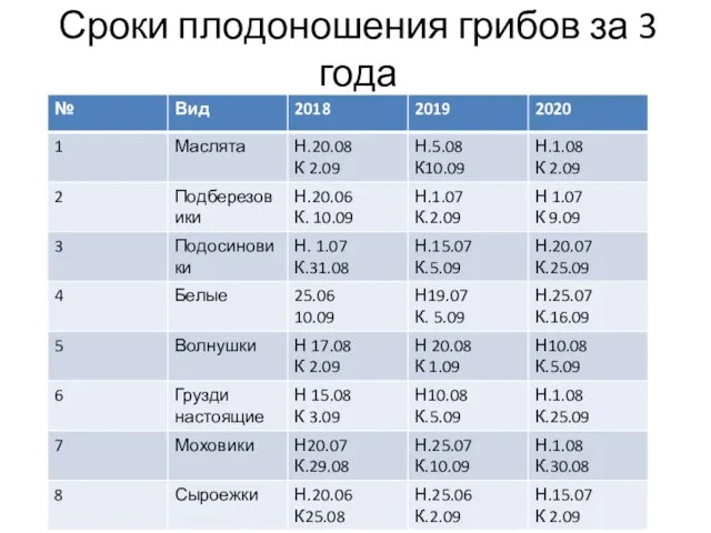 Сроки плодоношения грибов за 3 года