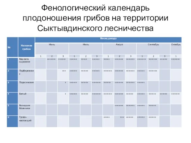 Фенологический календарь плодоношения грибов на территории Сыктывдинского лесничества