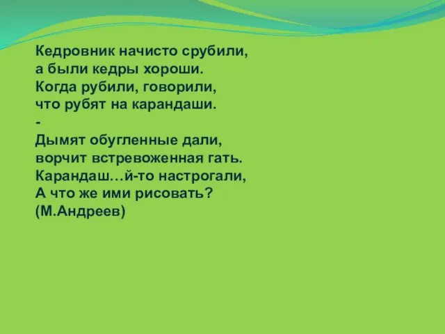 Кедровник начисто срубили, а были кедры хороши. Когда рубили, говорили, что рубят