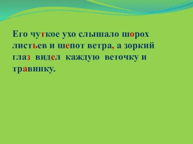 Его чуткое ухо слышало шорох листьев и шепот ветра, а зоркий глаз