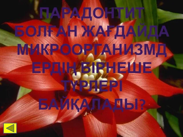 ПАРАДОНТИТ БОЛҒАН ЖАҒДАЙДА МИКРООРГАНИЗМДЕРДІҢ БІРНЕШЕ ТҮРЛЕРІ БАЙҚАЛАДЫ?