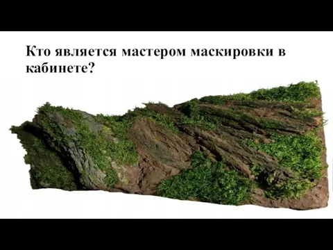 Кто является мастером маскировки в кабинете?