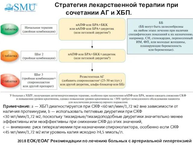 Стратегия лекарственной терапии при сочетании АГ и ХБП. Примечание: a — ХБП