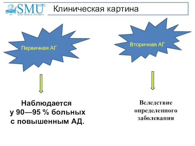 Клиническая картина Первичная АГ Вторичная АГ Наблюдается у 90—95 % больных с