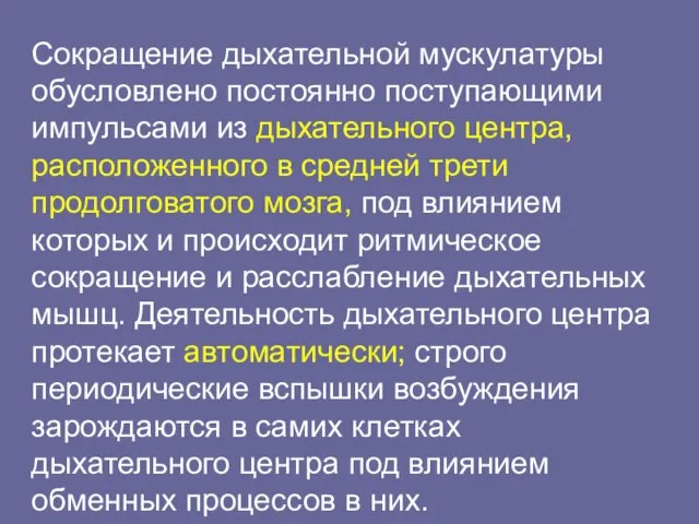 Сокращение дыхательной мускулатуры обусловлено постоянно поступающими импульсами из дыхательного центра, расположенного в