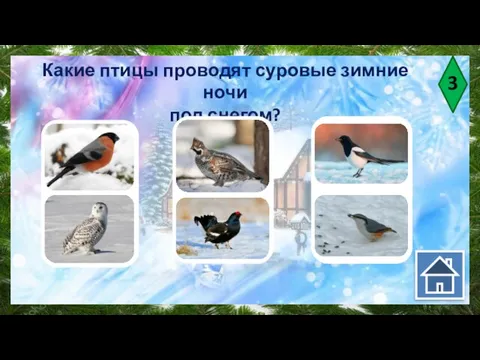 3 Какие птицы проводят суровые зимние ночи под снегом?