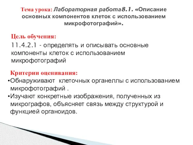 Цель обучения: 11.4.2.1 - определять и описывать основные компоненты клеток с использованием