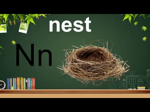 Nn nest