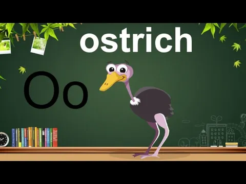 Oo ostrich
