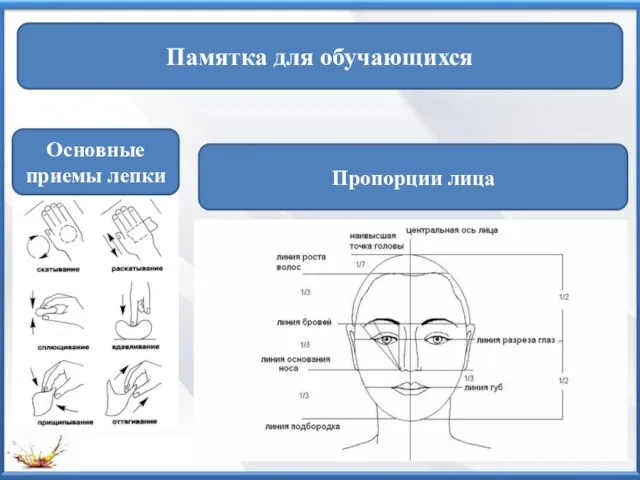 Пропорции лица Основные приемы лепки Памятка для обучающихся