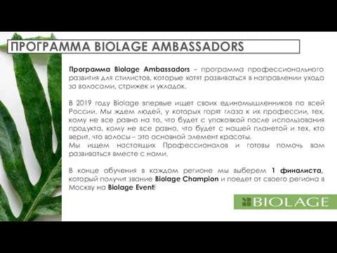 ПРОГРАММА BIOLAGE AMBASSADORS Программа Biolage Ambassadors – программа профессионального развития для стилистов,