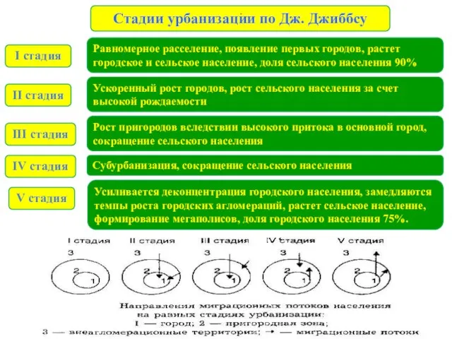 Стадии урбанизации по Дж. Джиббсу . Равномерное расселение, появление первых городов, растет