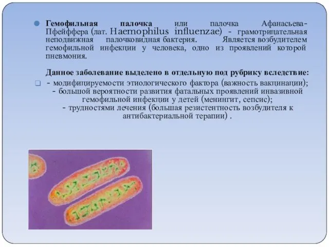 Гемофильная палочка или палочка Афанасьева-Пфейффера (лат. Haemophilus influenzae) - грамотрицательная неподвижная палочковидная