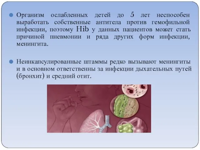 Организм ослабленных детей до 5 лет неспособен выработать собственные антитела против гемофильной