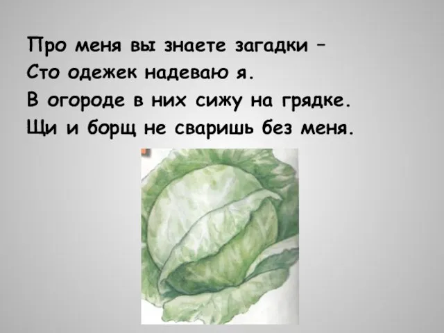 Про меня вы знаете загадки – Сто одежек надеваю я. В огороде