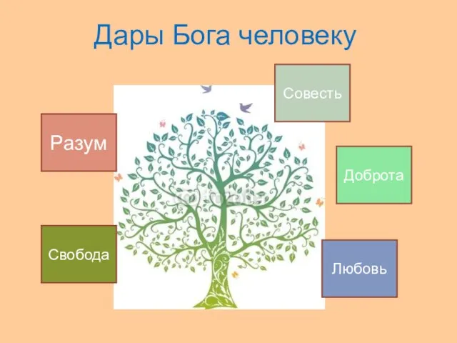 Дары Бога человеку Разум Любовь Свобода Доброта Совесть