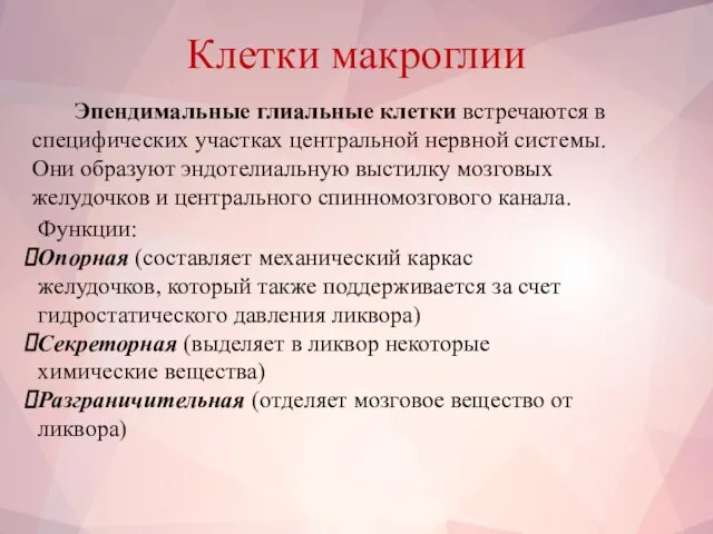 Клетки макроглии Эпендимальные глиальные клетки встречаются в специфических участках центральной нервной системы.