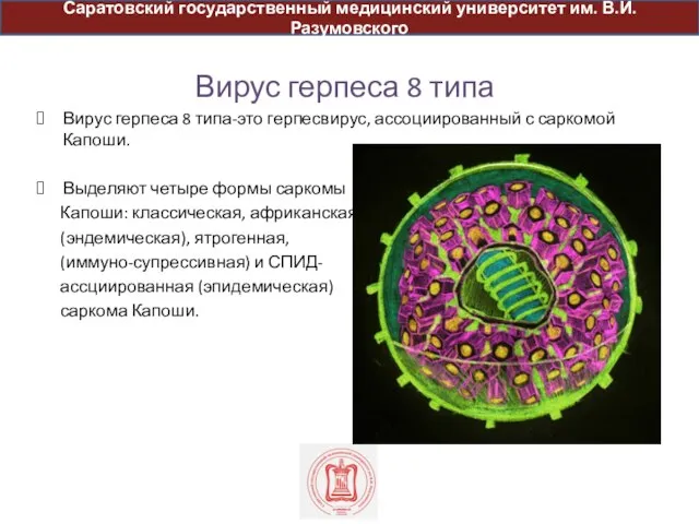 Вирус герпеса 8 типа Вирус герпеса 8 типа-это герпесвирус, ассоциированный с саркомой