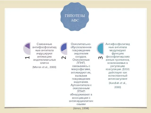 ГИПОТЕЗЫ АФС