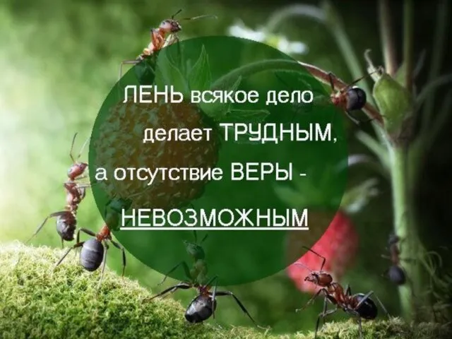 Творческая работа Закончить предложения: Когда я думаю о себе, я чувствую гордость