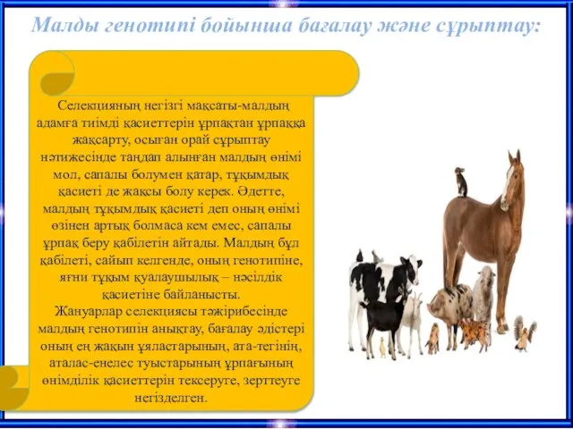 Малды генотипі бойынша бағалау және сұрыптау: Селекцияның негізгі мақсаты-малдың адамға тиімді қасиеттерін