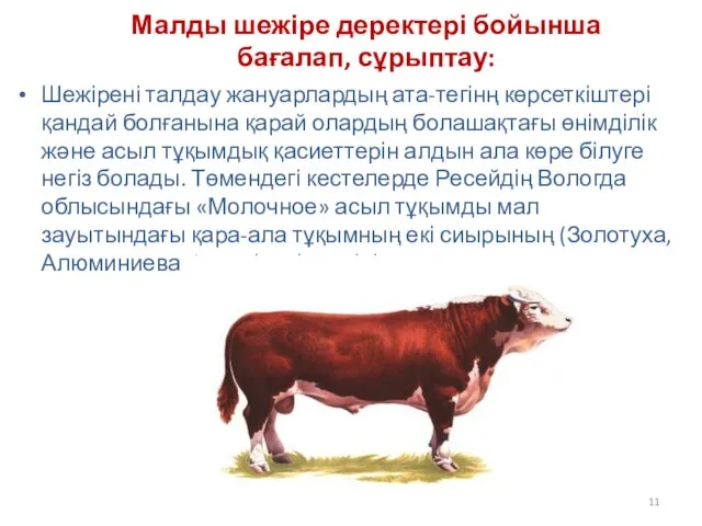 Малды шежіре деректері бойынша бағалап, сұрыптау: Шежірені талдау жануарлардың ата-тегінң көрсеткіштері қандай