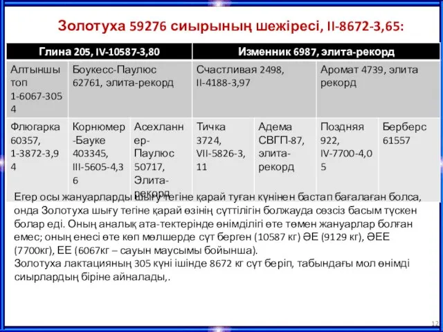 Золотуха 59276 сиырының шежіресі, II-8672-3,65: Егер осы жануарларды шығу тегіне қарай туған