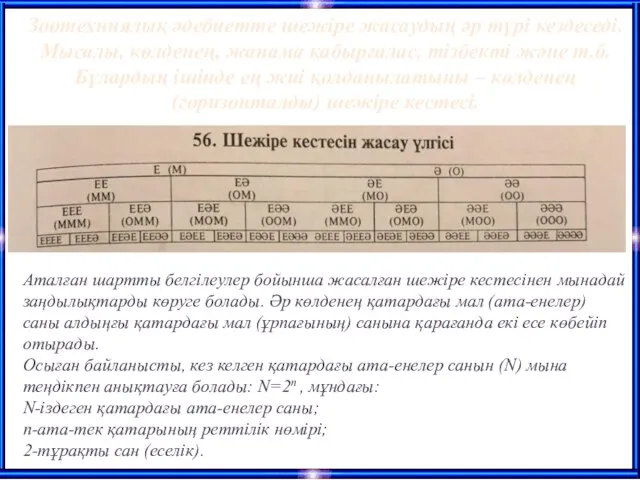 Зоотехниялық әдебиетте шежіре жасаудың әр түрі кездеседі. Мысалы, көлденең, жанама қабырғалас, тізбекті