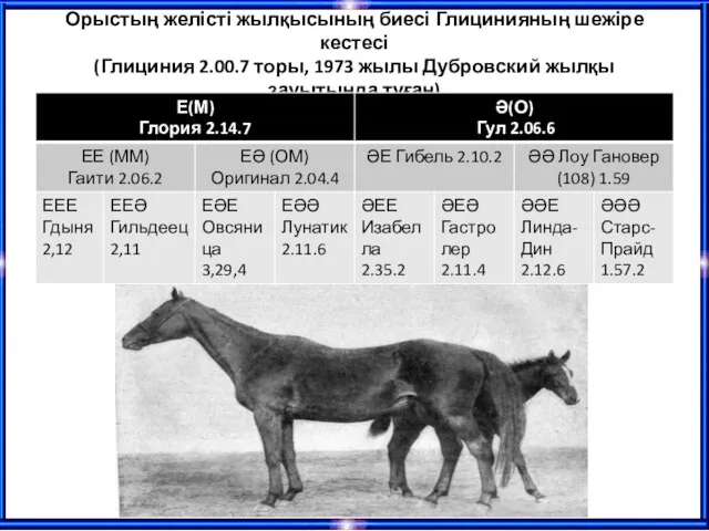 Орыстың желісті жылқысының биесі Глицинияның шежіре кестесі (Глициния 2.00.7 торы, 1973 жылы Дубровский жылқы зауытында туған)