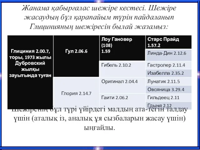 Жанама қабырғалас шежіре кестесі. Шежіре жасаудың бұл қарапайым түрін пайдаланып Глицинияның шежіресін