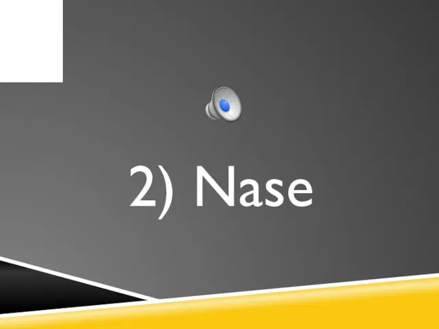 2) Nase