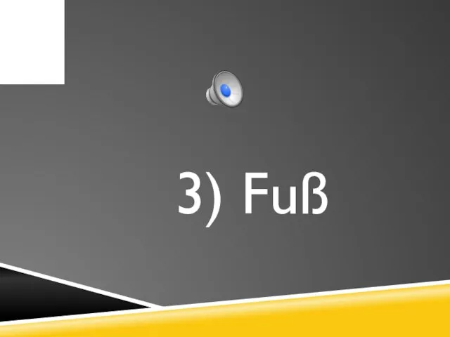 3) Fuß