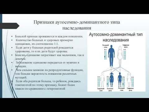 Признаки аутосомно-доминантного типа наследования Больной признак проявляется в каждом поколении. Количество больных