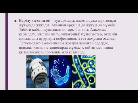 Берілу механизмі – ауа арқылы, адамға сулы аэрозольді жұтқанда жұғады. Ауа-шаң арқылы