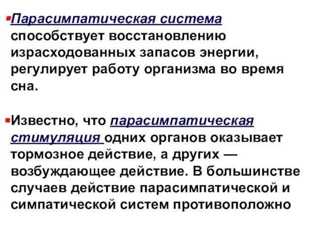 Парасимпатическая система способствует восстановлению израсходованных запасов энергии, регулирует работу организма во время