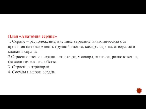 План «Анатомия сердца» 1. Сердце – расположение, внешнее строение, анатомическая ось, проекция